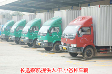 提供大、中、小各種車輛